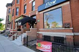 323 W Webster Ave, Chicago, IL 60614 - Photo 13