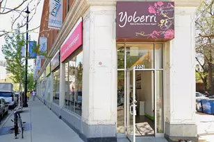 323 W Webster Ave, Chicago, IL 60614 - Photo 17