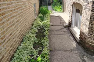 2243 N Kedvale Ave, Chicago, IL 60639 - Photo 41