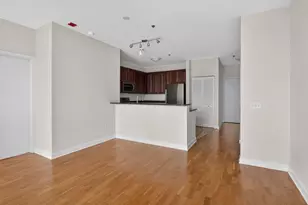 1600 S Prairie Ave, Chicago, IL 60616 - Photo 13