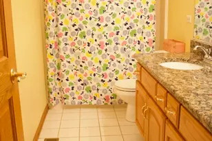 15223 Eyre Cir, Plainfield, IL 60544 - Photo 21