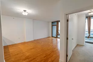 100 E 14th St, Chicago, IL 60605 - Photo 7