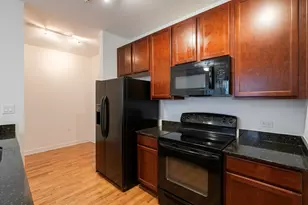 100 E 14th St, Chicago, IL 60605 - Photo 3