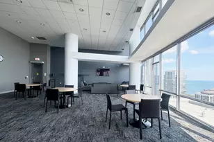 100 E 14th St, Chicago, IL 60605 - Photo 23