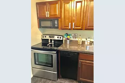 1355 N Sandburg Terrace #2805, Chicago, IL 60610 - Photo 5