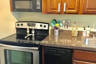 1355 N Sandburg Terrace, Chicago, IL 60610 - Photo 5