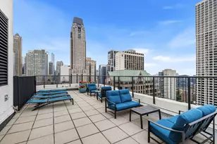 50 E Bellevue Pl, Chicago, IL 60611 - Photo 17