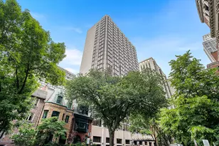 50 E Bellevue Pl, Chicago, IL 60611 - Photo 1