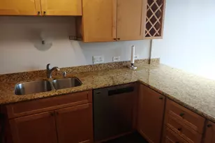 233 E Erie St, Chicago, IL 60611 - Photo 11