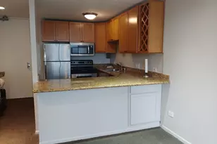 233 E Erie St, Chicago, IL 60611 - Photo 9