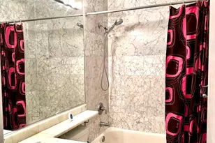 1346 S Indiana Pkwy, Chicago, IL 60605 - Photo 11