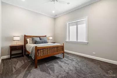 10N618 Manchester Lane, Elgin, IL 60124 - Photo 61