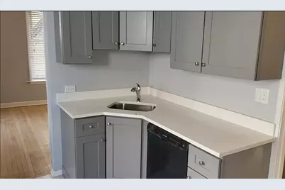 1025 W Cullerton Street #2R, Chicago, IL 60608 - Photo 3
