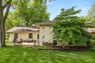 441 Tupelo Ave, Naperville, IL 60540 - Photo 27