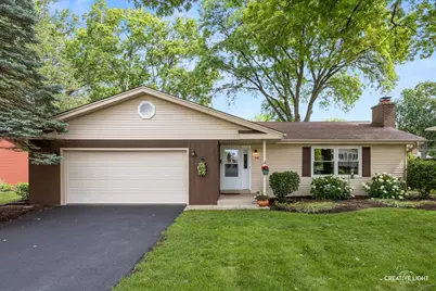 441 Tupelo Avenue, Naperville, IL 60540 - Photo 1