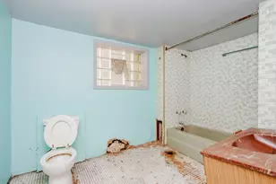 8255 S St Lawrence Ave, Chicago, IL 60619 - Photo 35
