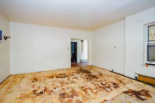 8255 S St Lawrence Ave, Chicago, IL 60619 - Photo 5