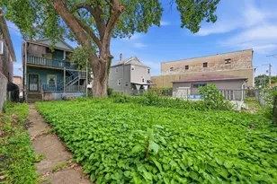 541 W Root St, Chicago, IL 60609 - Photo 19