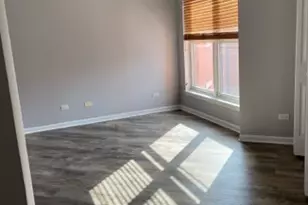 807 W 14th Pl, Chicago, IL 60608 - Photo 11