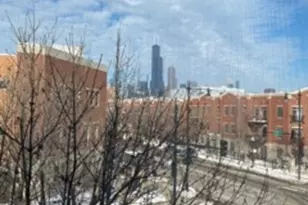807 W 14th Pl, Chicago, IL 60608 - Photo 19