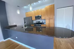 807 W 14th Pl, Chicago, IL 60608 - Photo 9