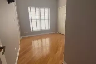 807 W 14th Pl, Chicago, IL 60608 - Photo 17