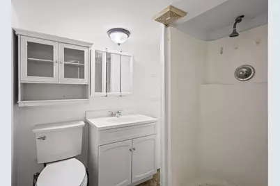 5725 W Giddings Street, Chicago, IL 60630 - Photo 49