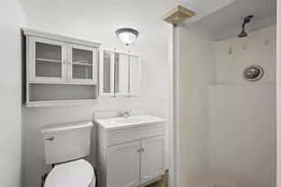5725 W Giddings St, Chicago, IL 60630 - Photo 49