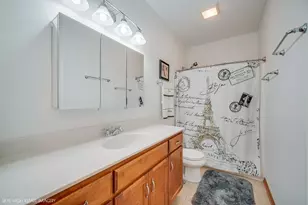 27219 Deer Hollow Ln, Channahon, IL 60410 - Photo 15