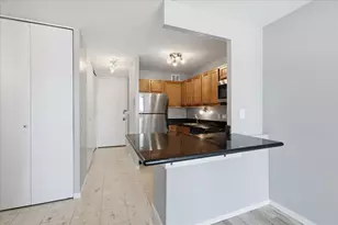 1 E Scott St, Chicago, IL 60610 - Photo 5