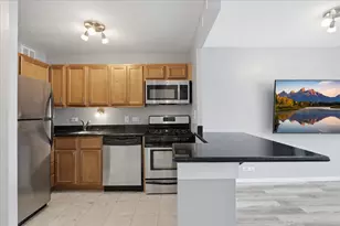 1 E Scott St, Chicago, IL 60610 - Photo 3