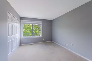 1371 E Braymore Circle, Naperville, IL 60564 - Photo 25
