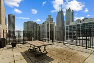 40 E Cedar St, Chicago, IL 60611 - Photo 25