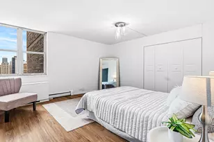 40 E Cedar St, Chicago, IL 60611 - Photo 17