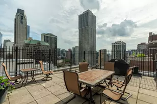 40 E Cedar St, Chicago, IL 60611 - Photo 23