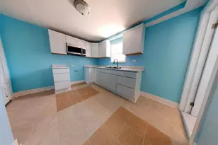4925 S Justine St, Chicago, IL 60609 - Photo 53