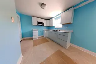 4925 S Justine St, Chicago, IL 60609 - Photo 67