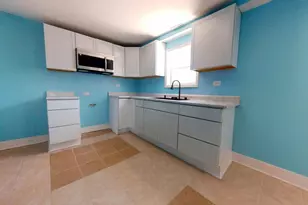 4925 S Justine St, Chicago, IL 60609 - Photo 69