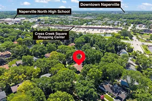 917 Royal Blackheath Ct, Naperville, IL 60563 - Photo 35