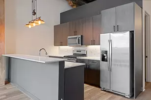 818 N Wolcott Ave, Chicago, IL 60622 - Photo 3