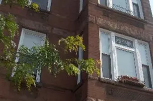 1808 W Armitage Ave, Chicago, IL 60622 - Photo 1