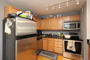 222 E Pearson St, Chicago, IL 60611 - Photo 11
