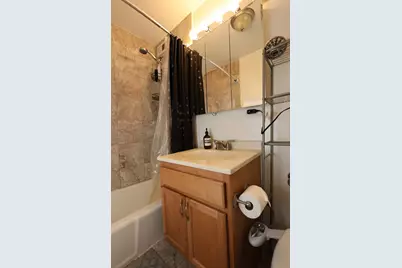 222 E Pearson Street #1405, Chicago, IL 60611 - Photo 13