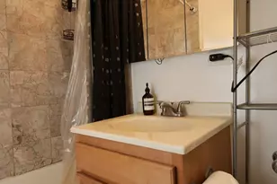 222 E Pearson St, Chicago, IL 60611 - Photo 13