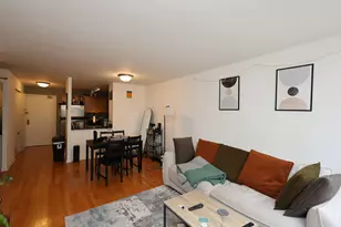 222 E Pearson St, Chicago, IL 60611 - Photo 3