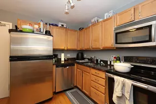 222 E Pearson St, Chicago, IL 60611 - Photo 9