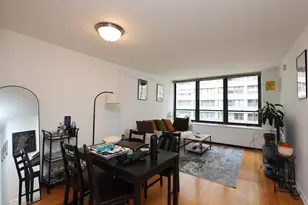 222 E Pearson St, Chicago, IL 60611 - Photo 5