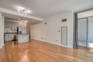 1250 S Michigan Ave, Chicago, IL 60605 - Photo 3