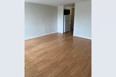 601 E 32nd Street #203, Chicago, IL 60616 - Photo 5