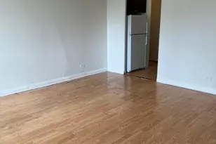601 E 32nd St, Chicago, IL 60616 - Photo 5